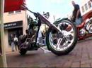 Born To Ride 645